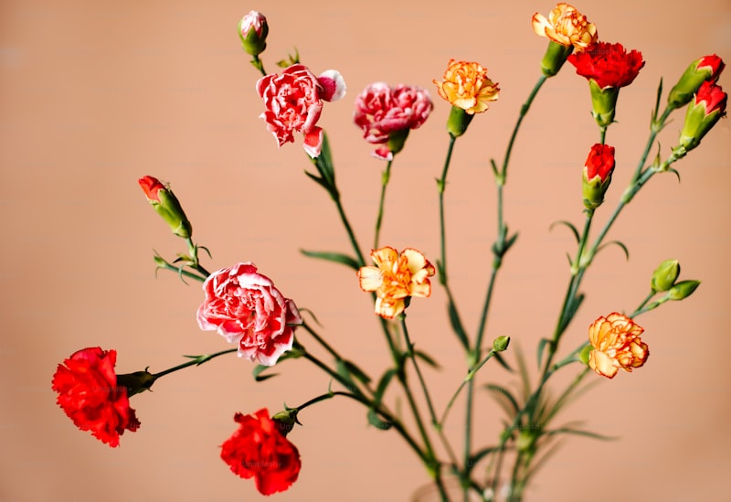 Exploring Floral Arrangements for Different Cultures