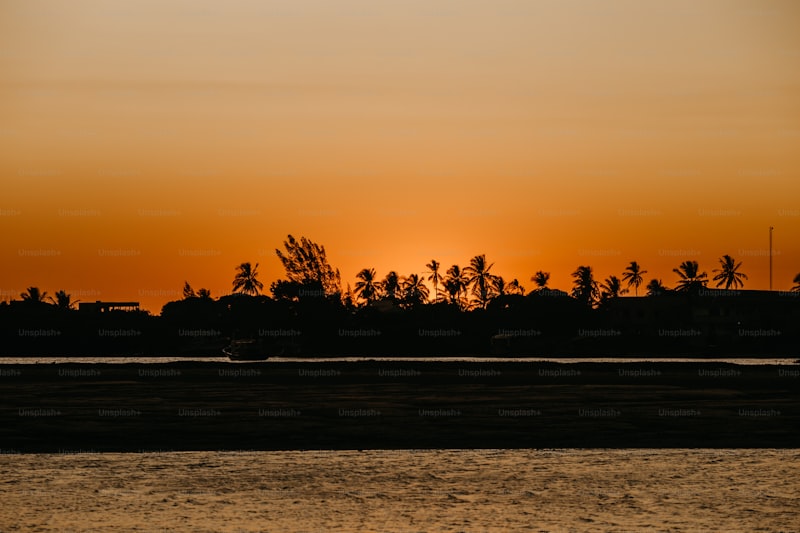 The Art of Sun-Kissed Photography: Capturing the Golden Hour