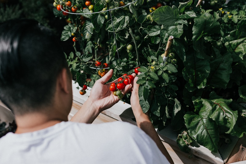 Culinary Delights from Local Gardens: A Journey Through Fresh Produce