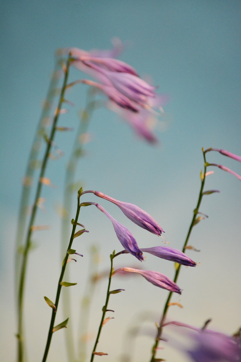 Discover the Beauty of Elegant Floral Arrangements: Transform Your Space with Nature's Artistry