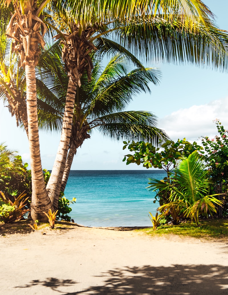 Overcoming Windy Beach Wedding Challenges: A Comprehensive Guide