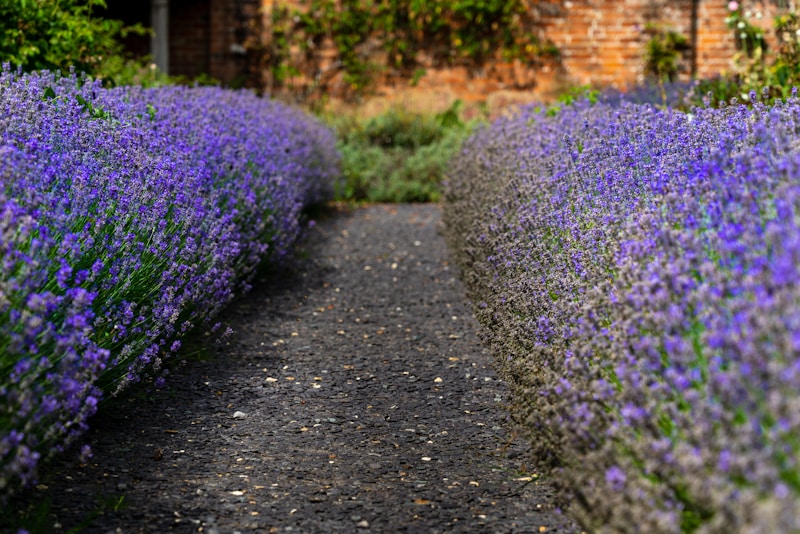 Garden-Inspired Flower Choices: A Comprehensive Guide to Selecting the Perfect Blooms