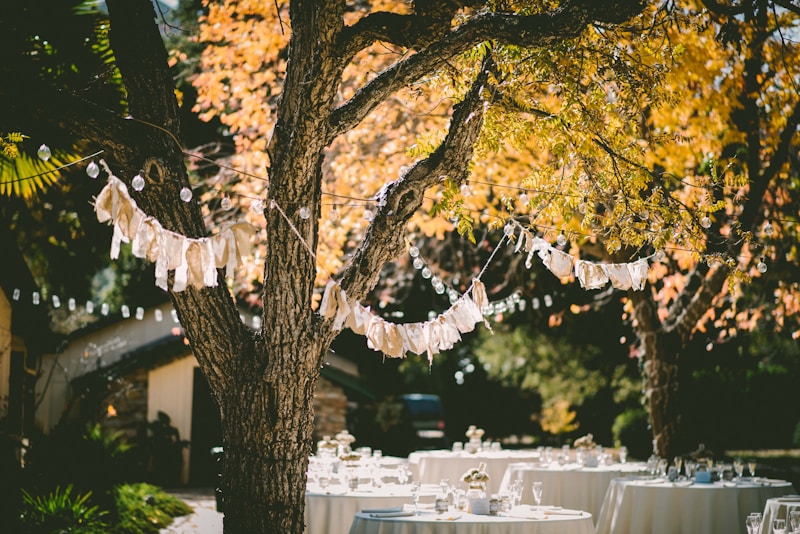 Discovering the Charm of Outdoor Bohemian Wedding Venues