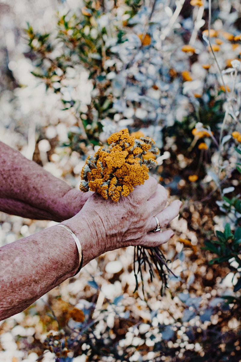 Stunning Wildflower Centerpieces and Bouquets for Every Occasion