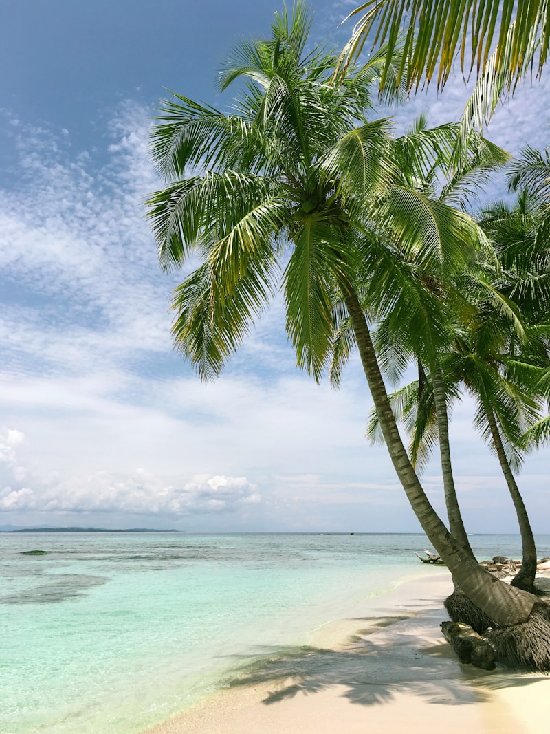 Unveiling the Allure of Beachfront Ceremonies: An Unforgettable Experience