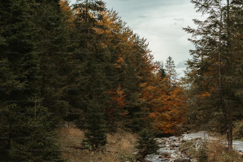 Experience the Serenity: Guided Nature Walks for Wedding Groups