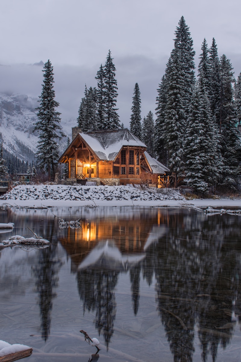 Exploring Frosty Outdoor Photo Opportunities: A Winter Wonderland Awaits