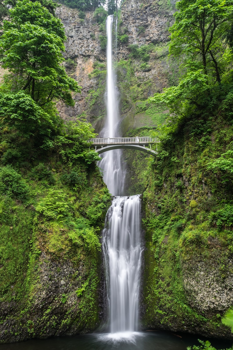 Capturing Love in Nature: The Art of Nature-Infused Wedding Photography