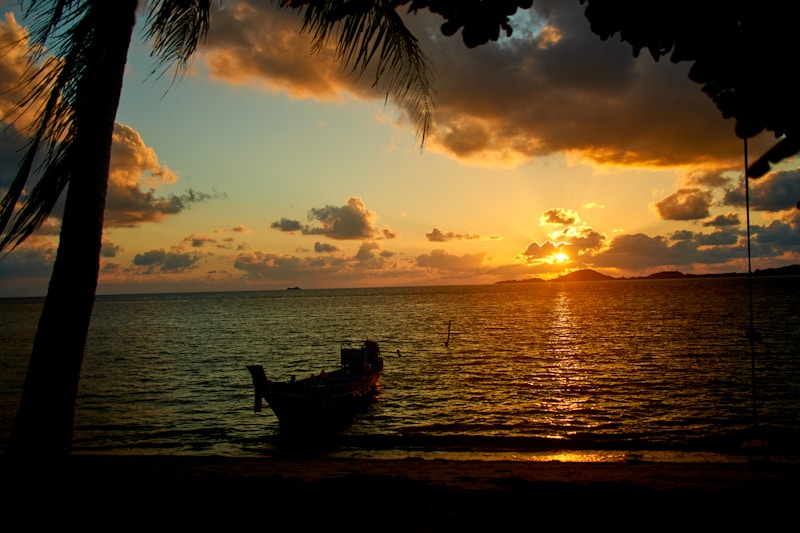 Palm Tree Romance: A Guide to Finding Love Under the Tropical Sun