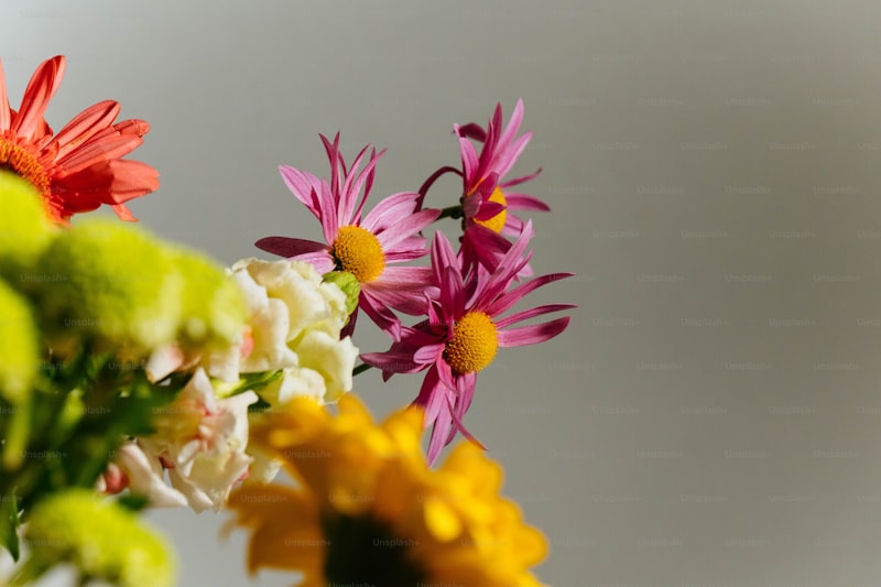 Exploring the Beauty and Benefits of Seasonal Floral Arrangements