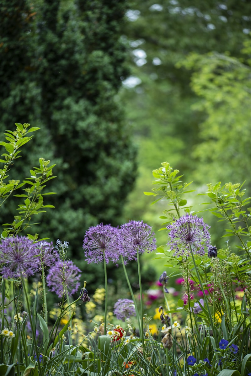 Mystical Garden Celebrations: Creating Enchanting Experiences