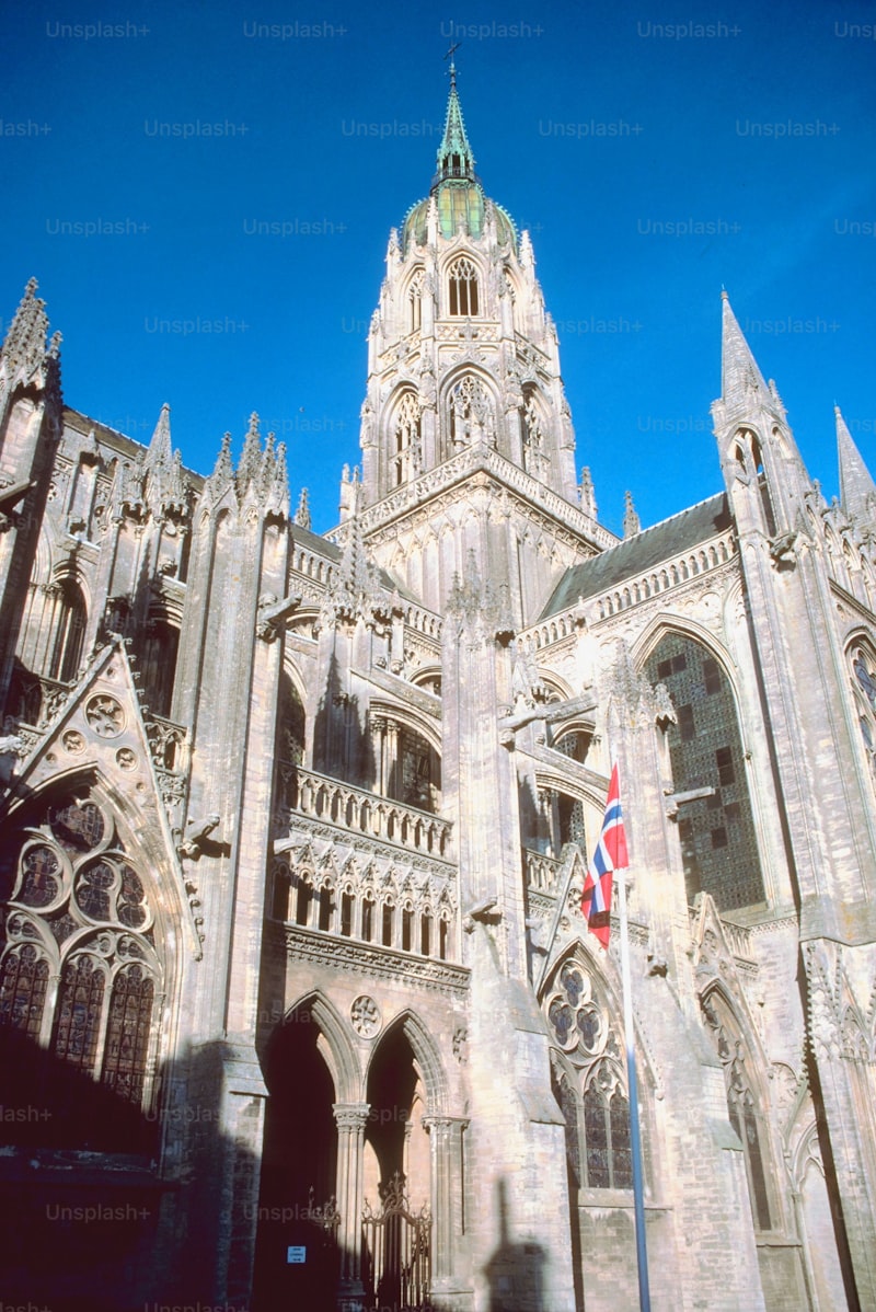 Unveiling the Beauty of Cathedral Veil Inspiration for Weddings