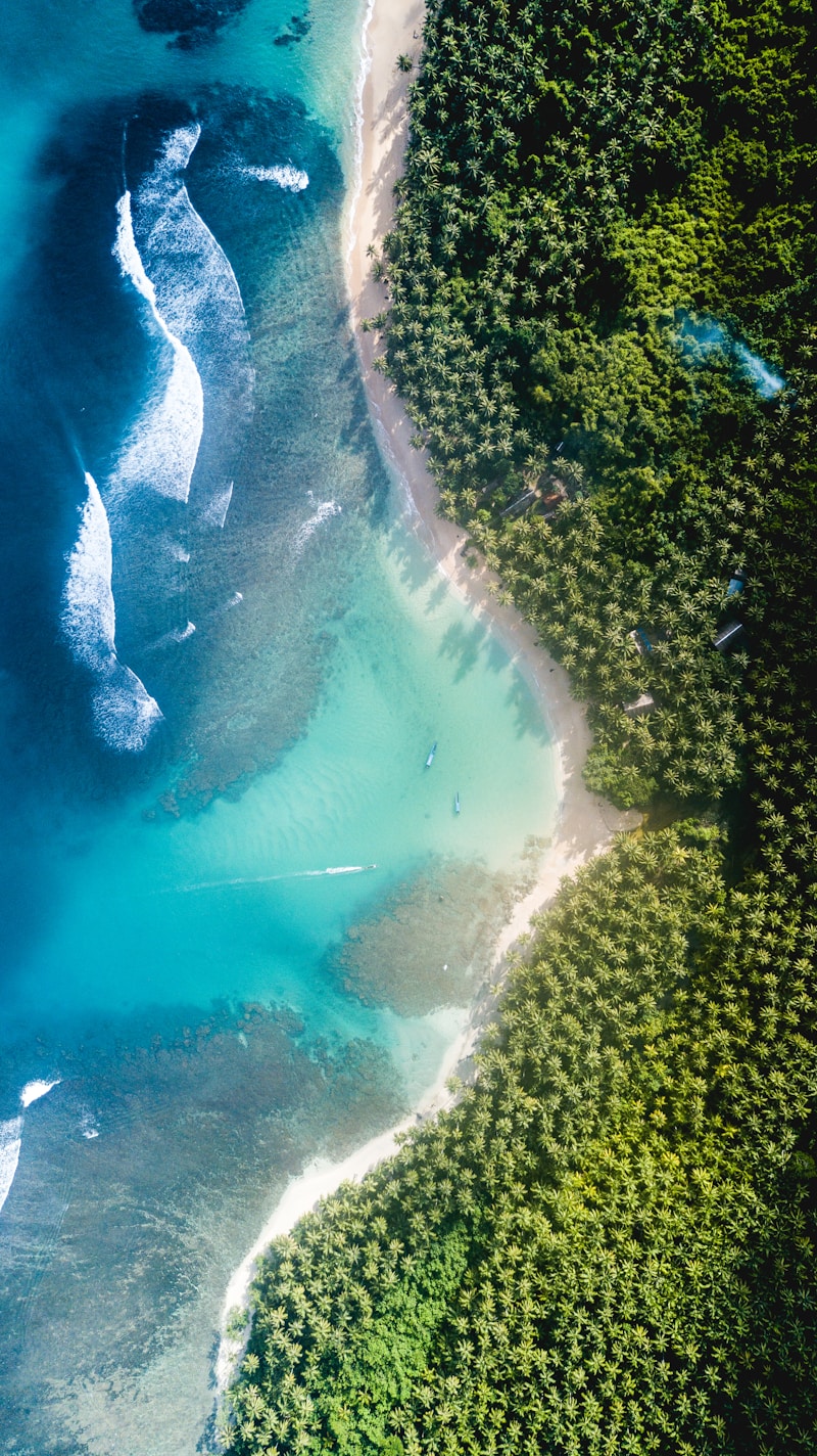 Planning Your Dreamy Ocean-Themed Wedding: A Guide to a Perfect Day by the Sea