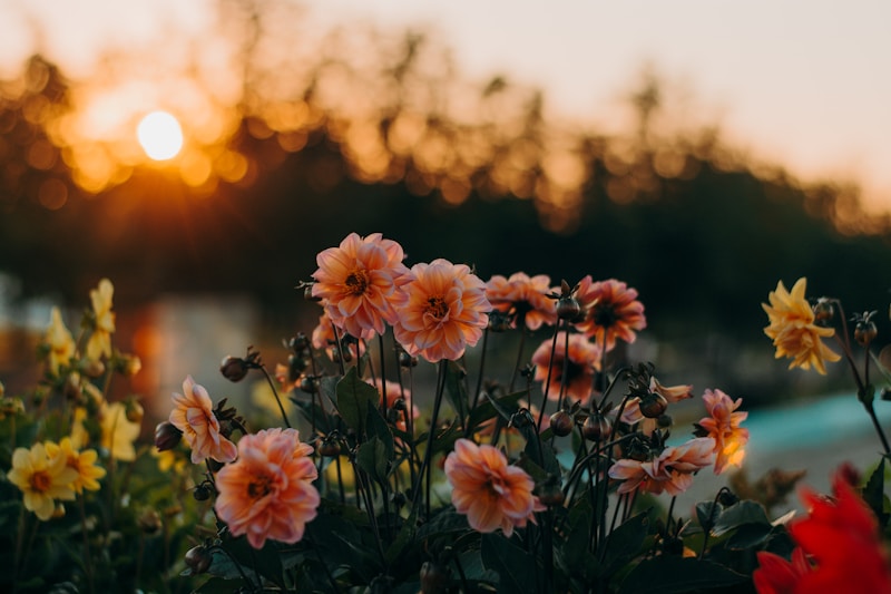 Matching Flower Crowns and Baskets: The Perfect Touch for Any Event