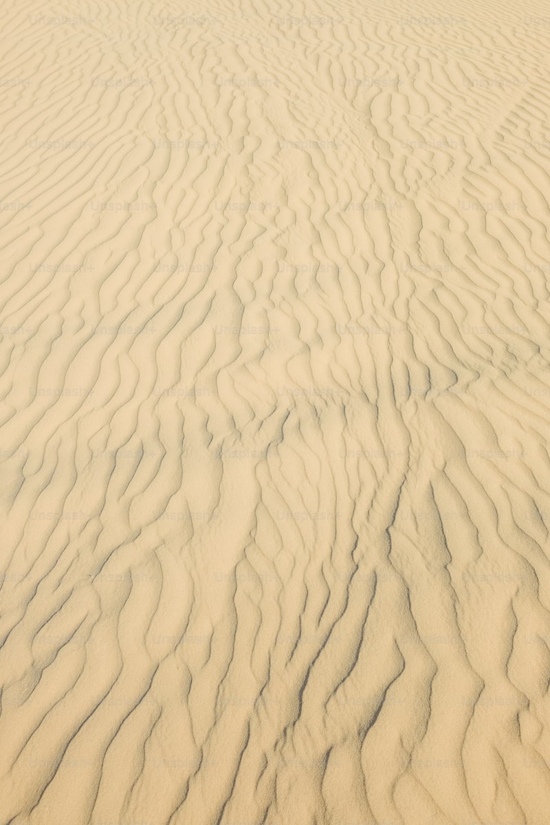 Transform Your Photography with Sand Dune Backdrops