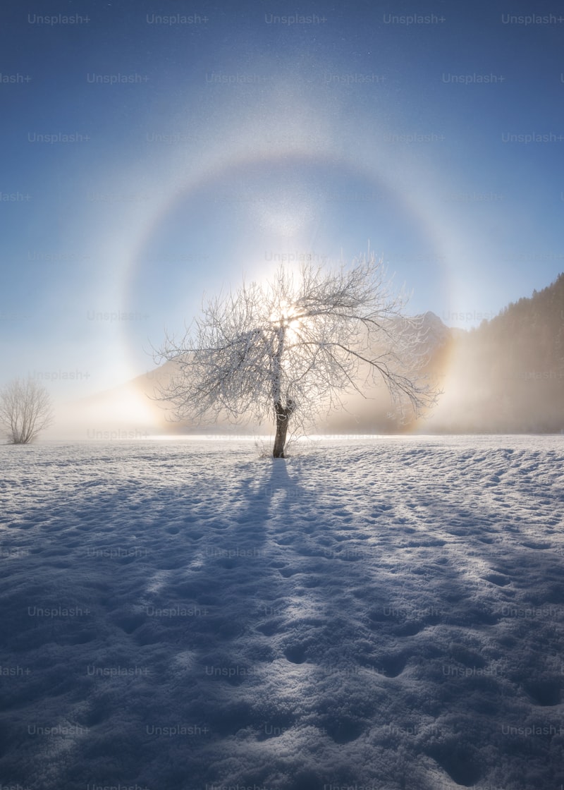 The Profound Energy of the Winter Solstice: Discovering Nature's Transformative Power