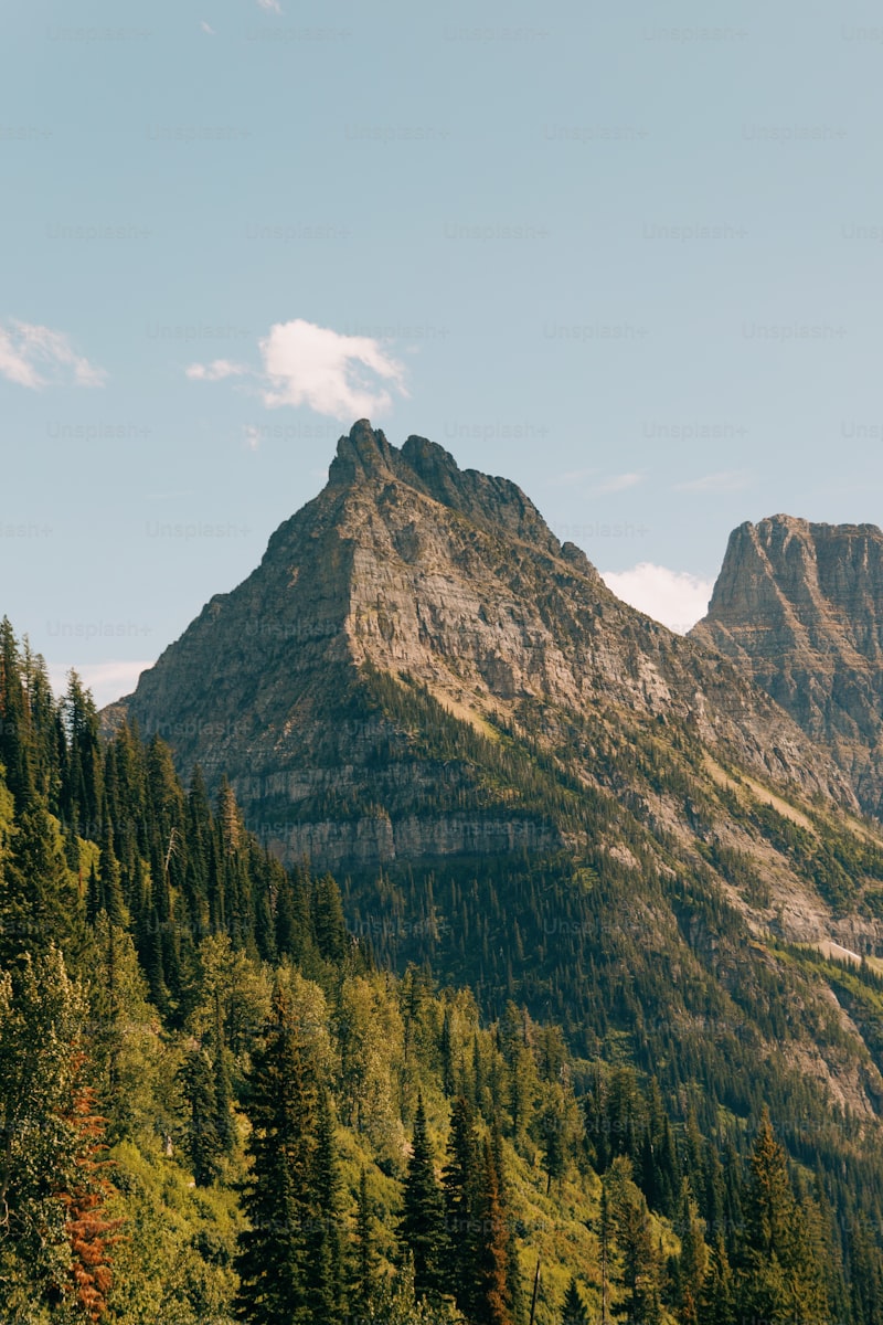 Discovering Scenic Elopement Backdrops: The Ultimate Guide to Perfect Settings