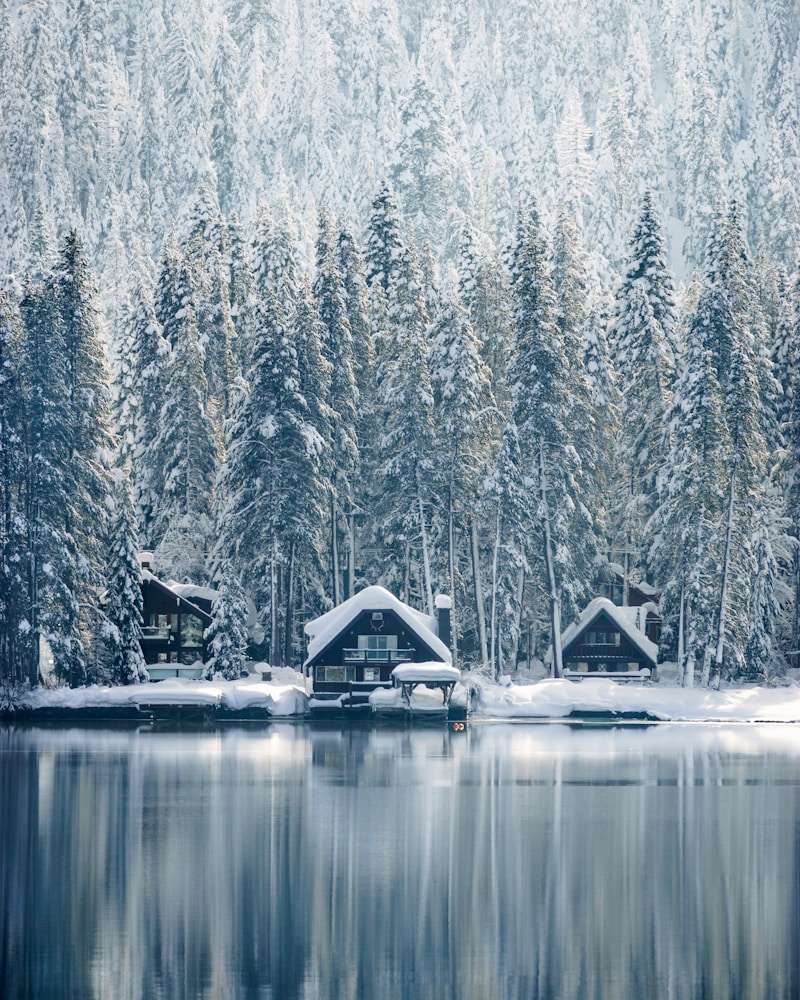 Breathtaking Winter Photography: A Guide to Capturing the Beauty of the Cold Season