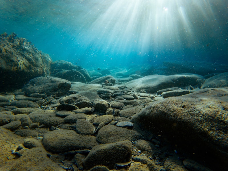 Capturing Love Beneath the Waves: Underwater Photography for Couples