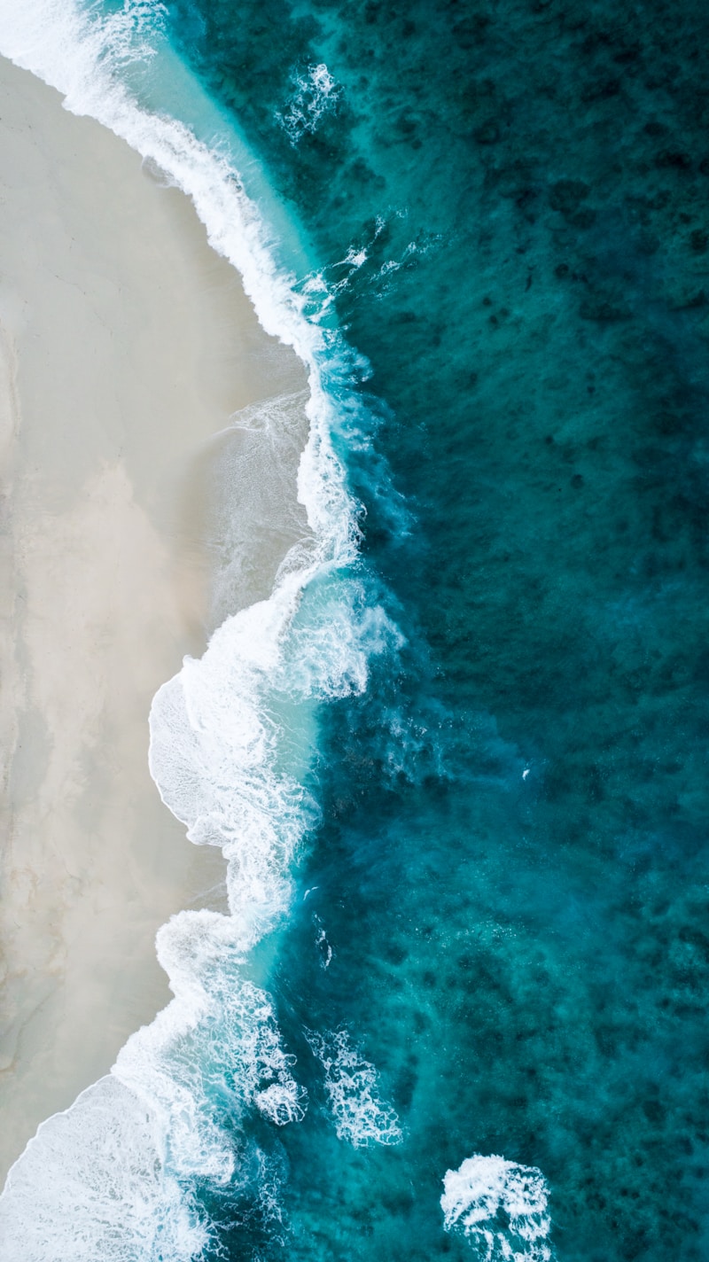 Tips for a Stress-Free Beach Ceremony