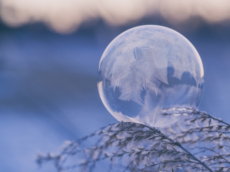 Unforgettable Winter-Themed Bridal Showers: A Complete Guide to Planning the Perfect Celebration