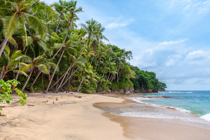 Floaty Dresses for Beach Brides: The Perfect Attire for Your Dream Destination Wedding