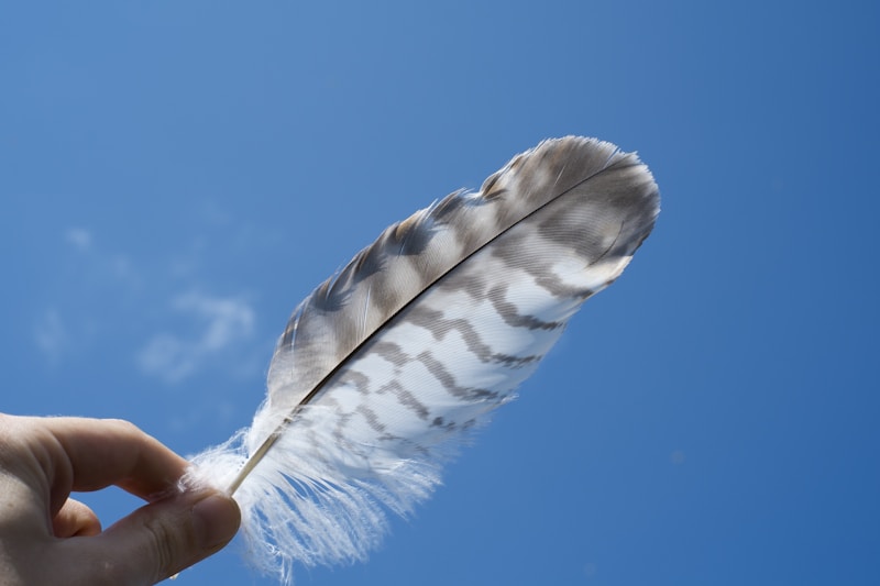 Dramatic Feather Headpieces: The Ultimate Guide for Fashion Enthusiasts