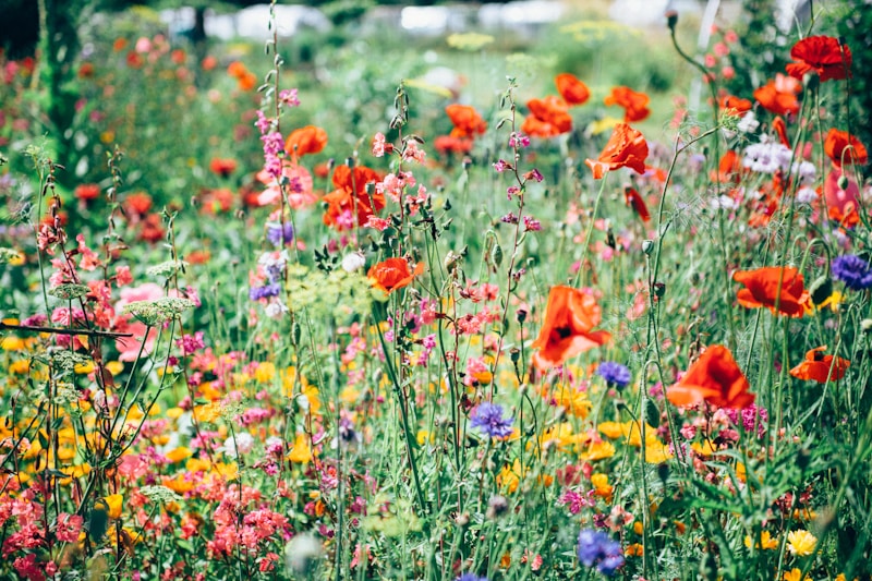 Floral Backdrops: The Perfect Addition to Your Event