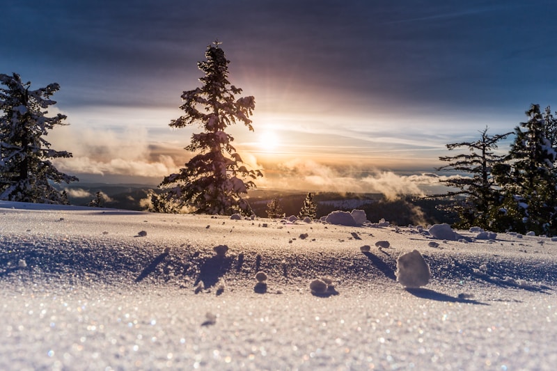 Winter Wonderland Favor Concepts: Create Unforgettable Memories for Your Guests