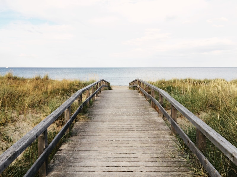 Stunning Color Palettes for Beach Ceremonies: A Guide to Create the Perfect Coastal Ambiance