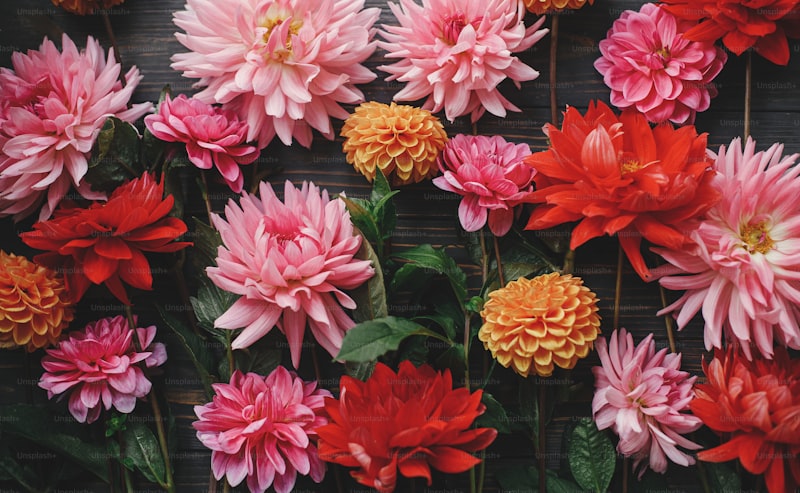 Exploring the Beauty of Floral Embellishments: A Comprehensive Guide